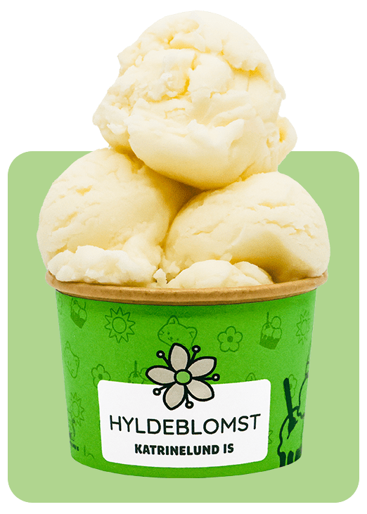 Katrinelund Is' hyldeblomstis